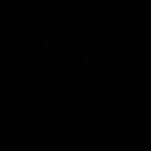 Meet your Posher, Antonella